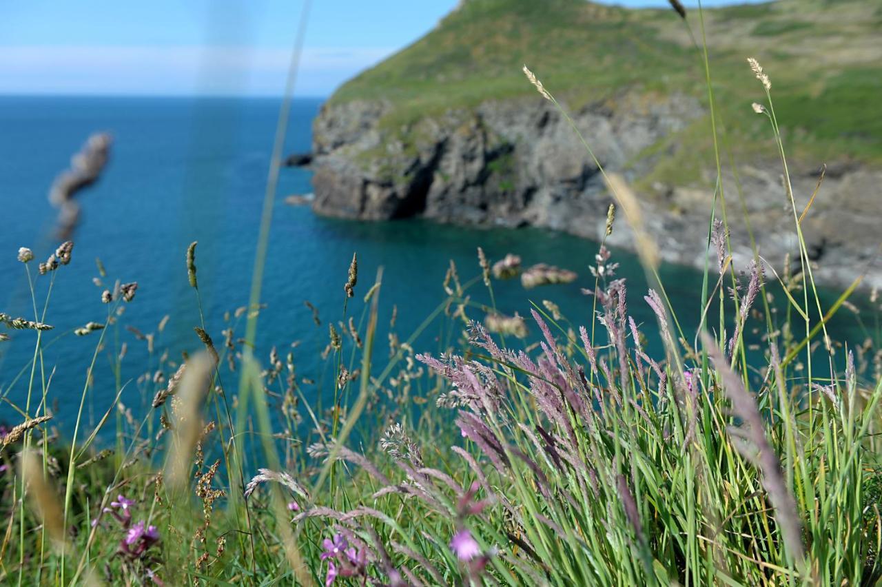 Tranquil Cornish Retreat Close To Port Isaac Beaches And Moor Bodmin Dış mekan fotoğraf