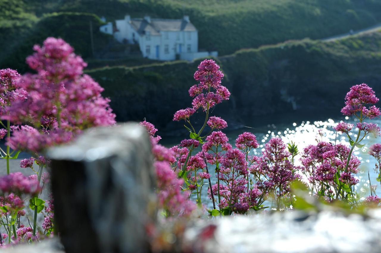 Tranquil Cornish Retreat Close To Port Isaac Beaches And Moor Bodmin Dış mekan fotoğraf